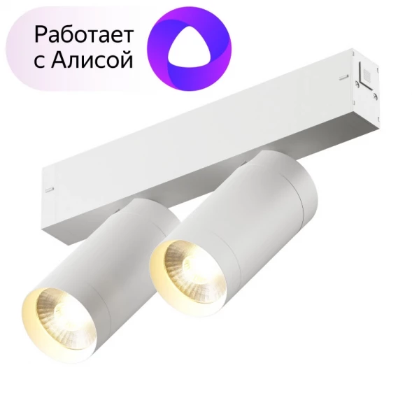 Светильник на шине Denkirs DK8012-WH