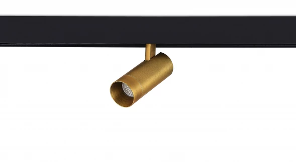 Светодиодный светильник Alpha для SPACE Track system 10W Donolux DL20295WW10Br