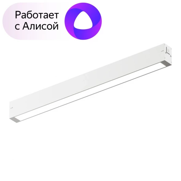 Светильник на шине DK8004-WH Denkirs