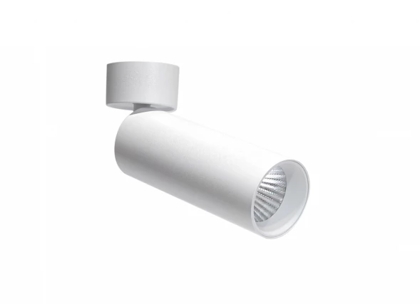 Накладной поворотный светодиодный светильник, 15Вт Donolux DL18895R15W1W ST