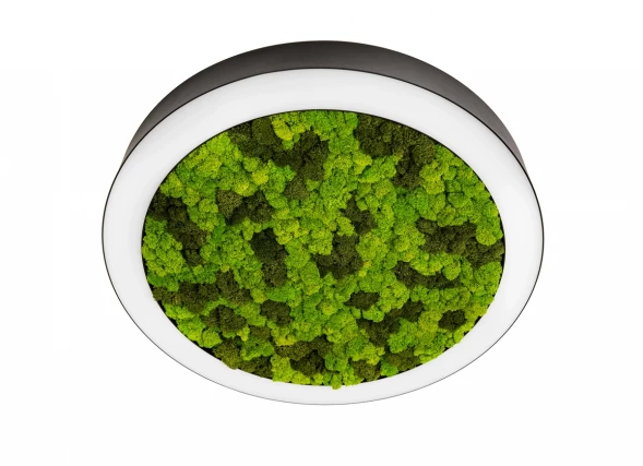 Накладной светодиодный светильник, 72Ватт, D-800мм. Donolux DL800C72WW Moss Black