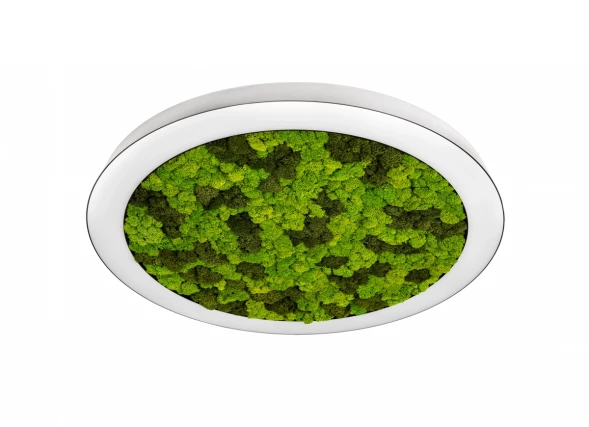 Накладной светодиодный светильник, 72Ватт, D-800мм. Donolux DL800C72NW Moss White