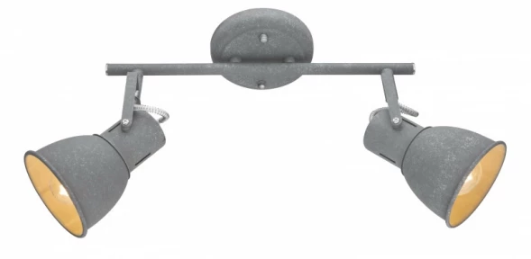 Спот A1677PL-2GY ARTE Lamp