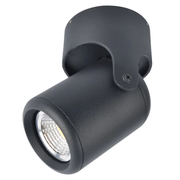 Накладной светильник A3316PL-1BK ARTE Lamp
