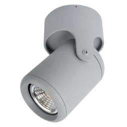 Накладной светильник A3316PL-1GY ARTE Lamp