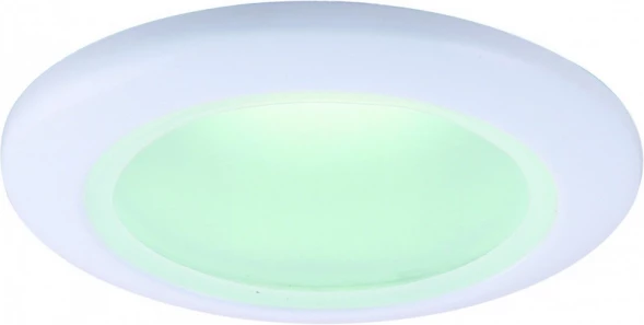 Влагозащищенный светильник ARTE Lamp A2024PL-1WH