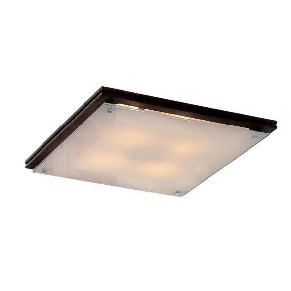 Накладной светильник CL938541 Citilux
