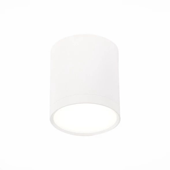 Накладной светильник ST113.542.05 ST-Luce