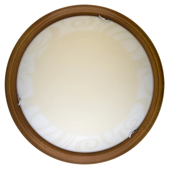 Накладной светильник TL9620Y-00OA TOPLIGHT