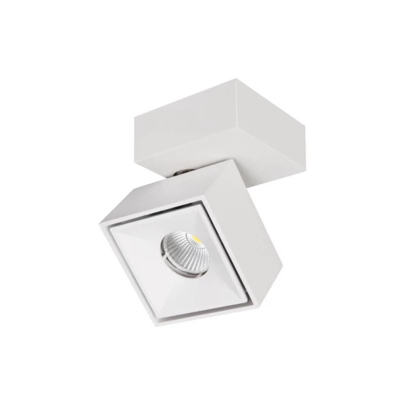 Спот CL558020N Citilux