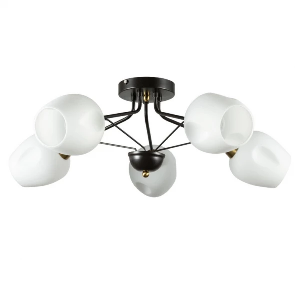 Накладная люстра A2706PL-5CK ARTE Lamp