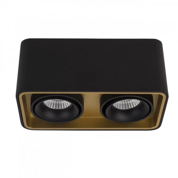 Накладной светильник TUBING 2 Black/Gold LeDron