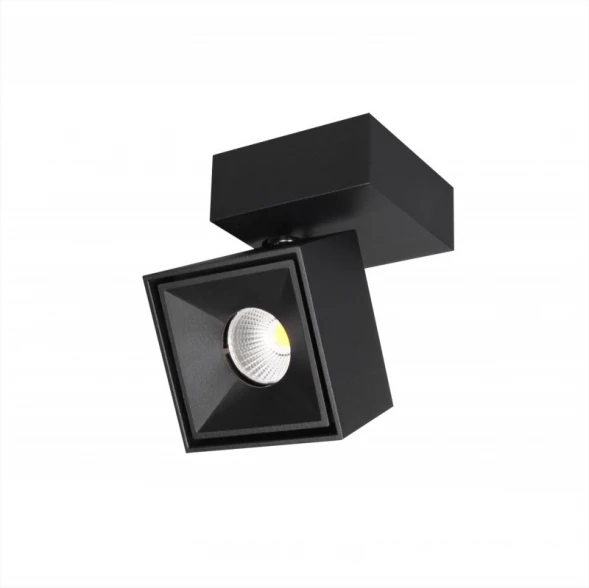 Спот CL558021N Citilux
