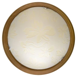 Накладной светильник TL9640Y-00OA TOPLIGHT