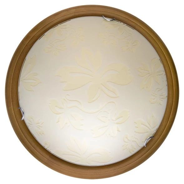 Накладной светильник TL9640Y-00OA TOPLIGHT