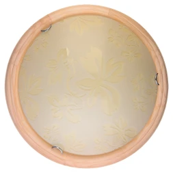Накладной светильник TL9640Y-00PN TOPLIGHT