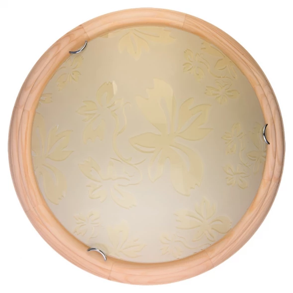 Накладной светильник TL9640Y-00PN TOPLIGHT