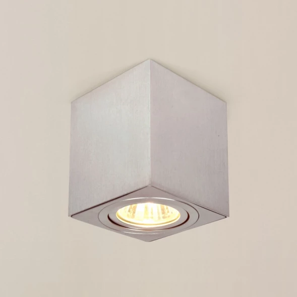 Накладной светильник CL538210 Citilux