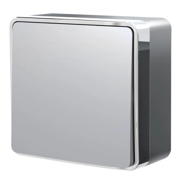 Выключатель W5010006 Werkel