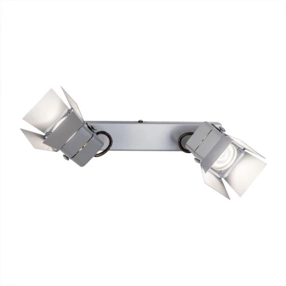 Спот CL526521S Citilux