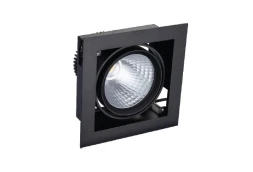 Встраиваемый поворотный светильник LIGHT4U LNG-2108C