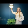 Подвесной светильник PALMA Wall lamp 2 шара + 1 вазон