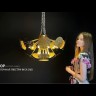 Потолочная люстра INCA D60