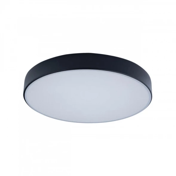 Накладной светильник 10002/24 Black LOFT IT