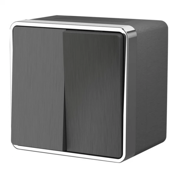 Выключатель W5020204 Werkel