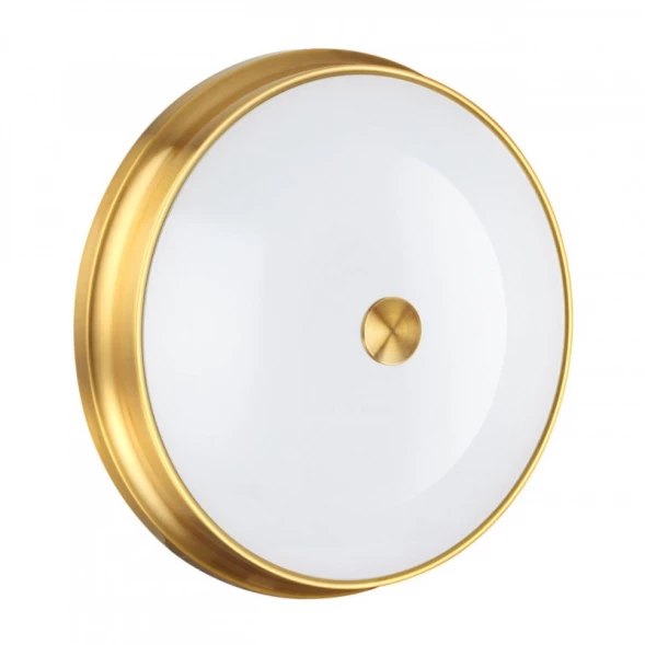 Накладной светильник 4824/4C Odeon Light