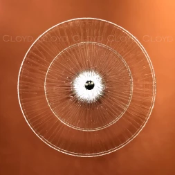 Бра Cloyd HELION-A W1 / D:45 см - хром (арт0351)