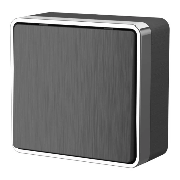 Выключатель W5010004 Werkel