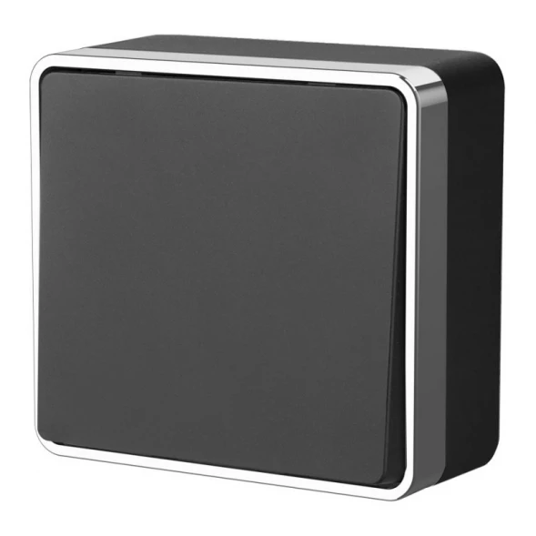 Выключатель W5010035 Werkel
