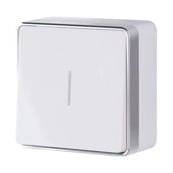 Выключатель W5010101 Werkel
