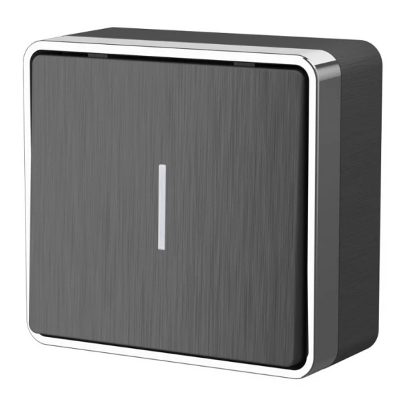 Выключатель W5010104 Werkel