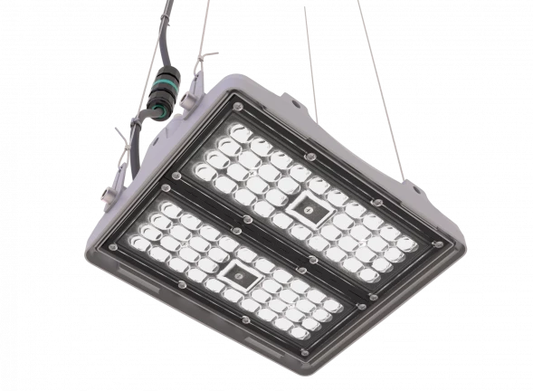 L-pixel