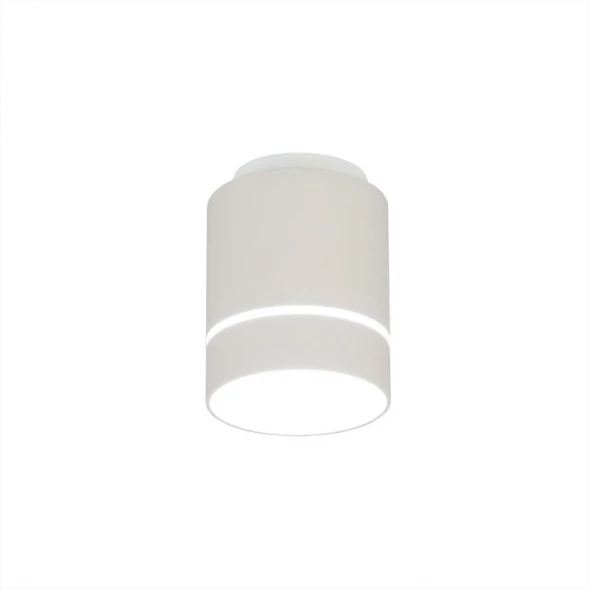 Накладной светильник Citilux CL745010N