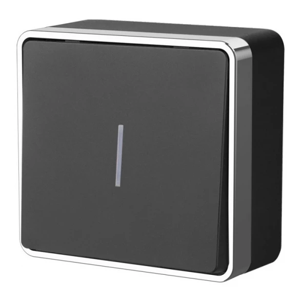Выключатель W5010135 Werkel
