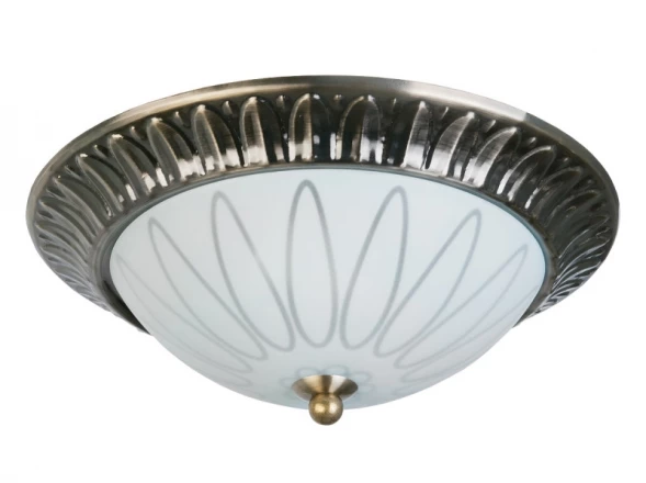 Накладной светильник TL5050Y-02AB TOPLIGHT