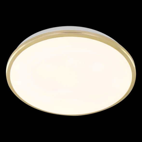 Накладной светильник CL702302Wz Citilux