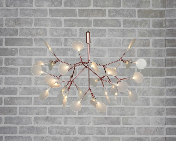 люстра Heracleum D50