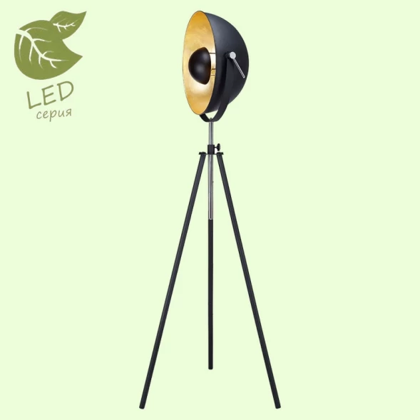 Торшер GRLSP-9824 LOFT