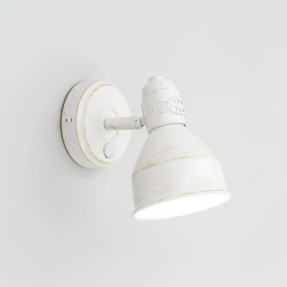 Спот CL502513 Citilux