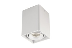 Накладной светильник под сменную лампу Donolux DL18611/01WW-SQ White