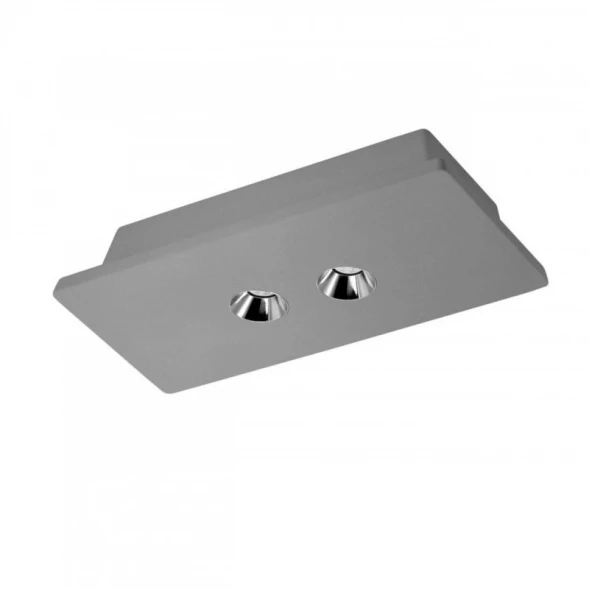 Накладной светильник OL1072-GH/2 LOFT IT