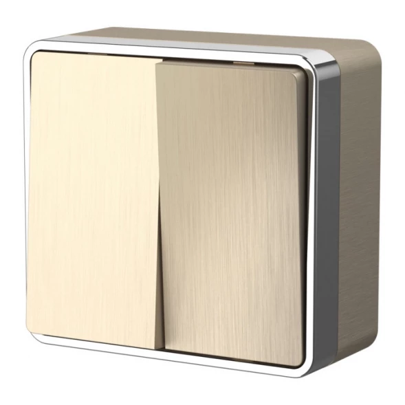 Выключатель W5020010 Werkel