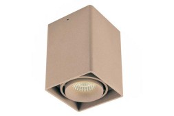 Накладной светильник под сменную лампу Donolux DL18611/01WW-SQ Champagne