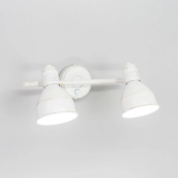 Спот CL502523 Citilux