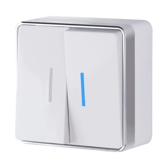 Выключатель W5020101 Werkel