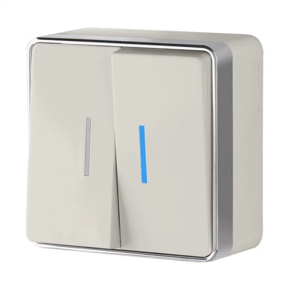 Выключатель W5020103 Werkel